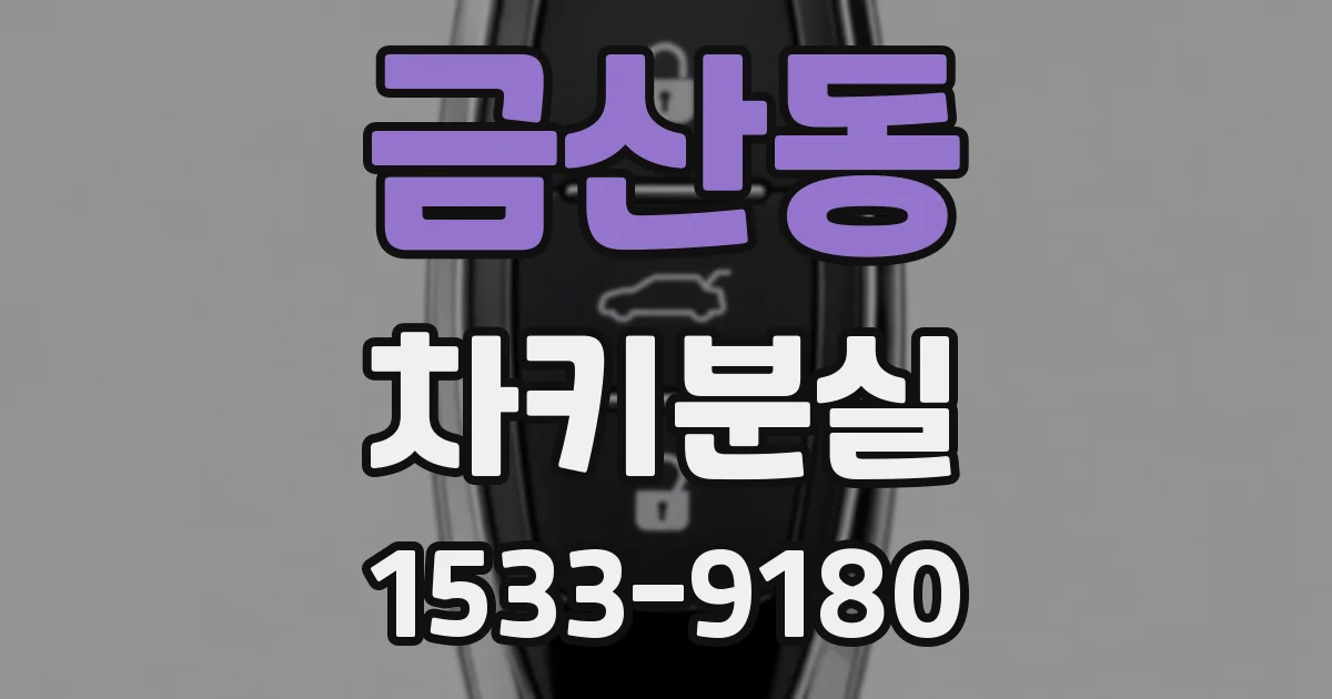 금산동 차키분실