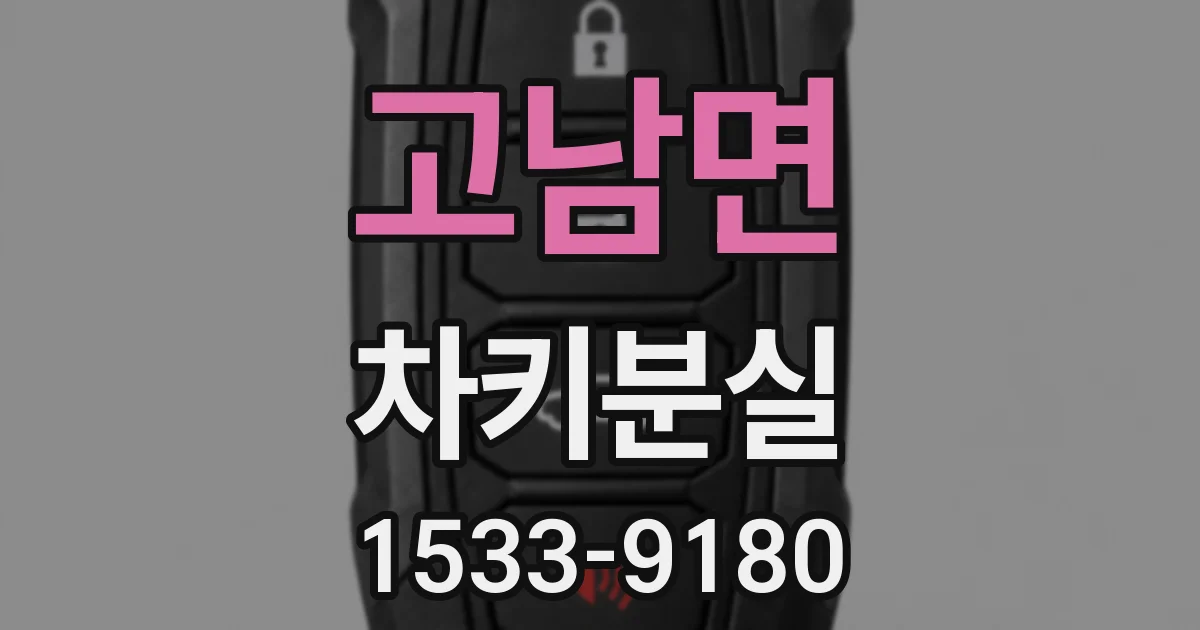 고남면 차키분실