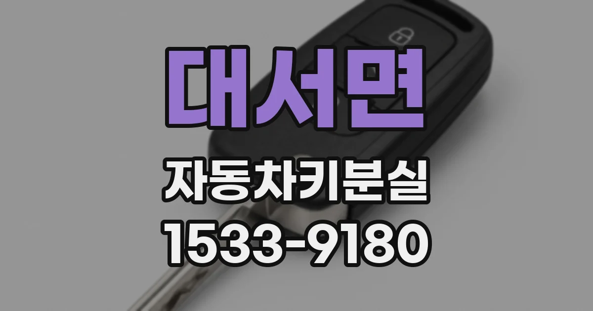 대서면 자동차키분실
