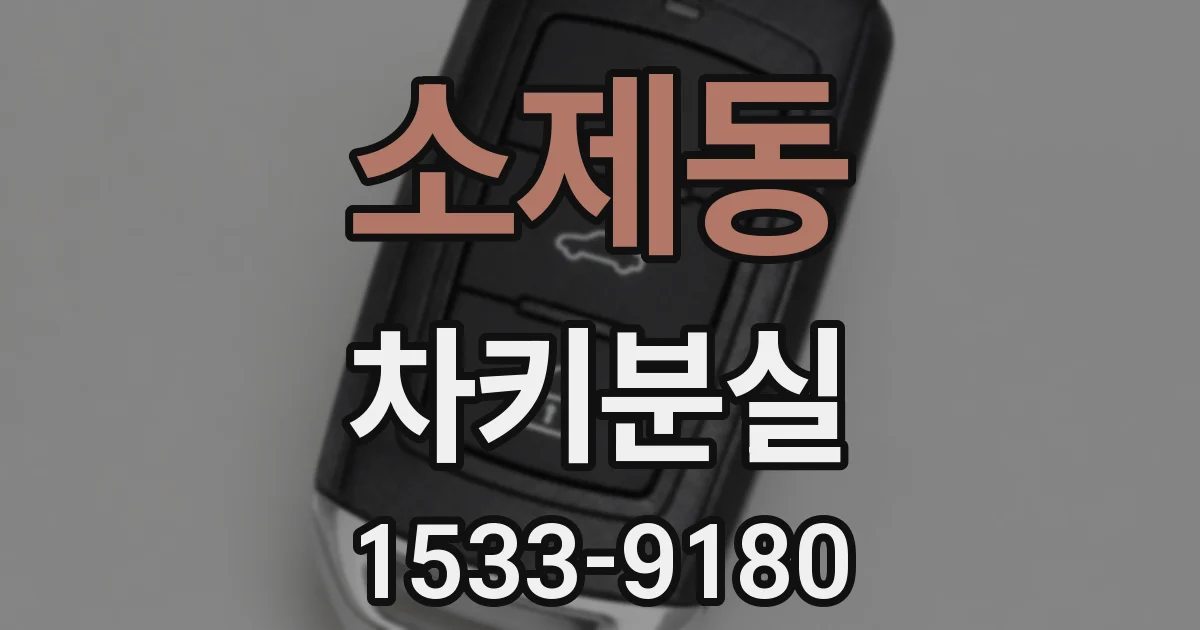 소제동 차키분실