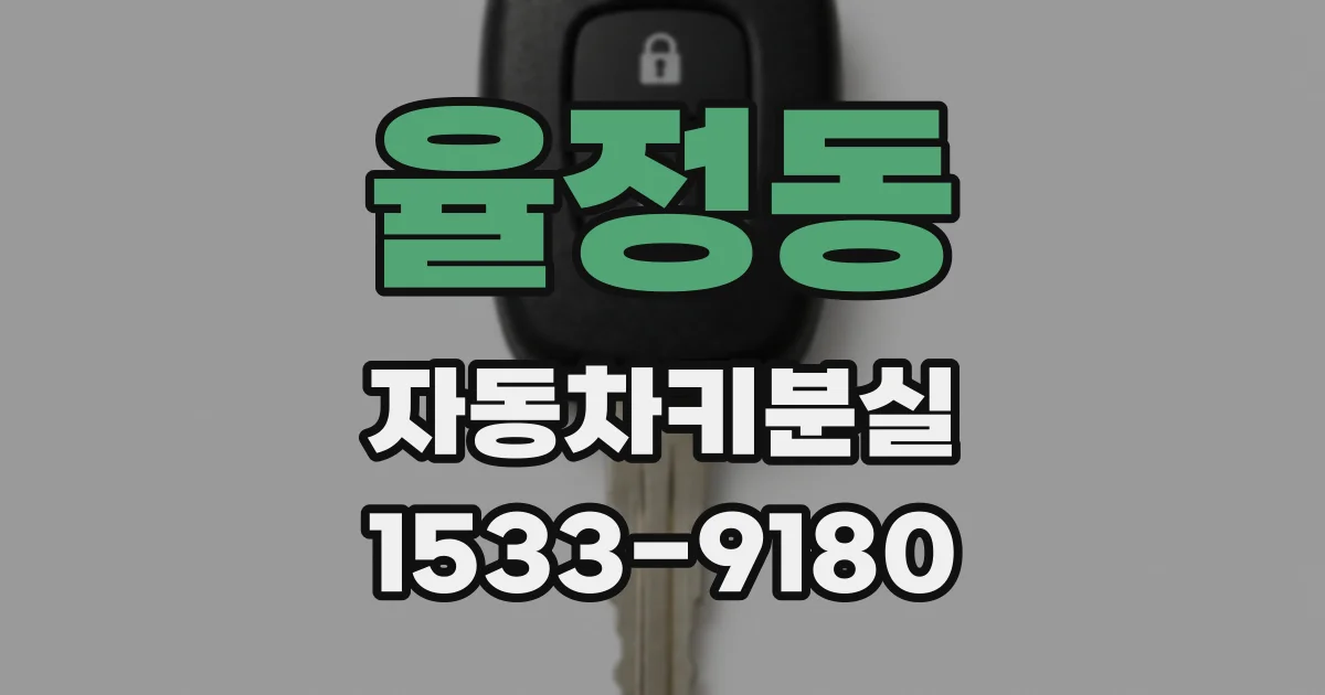 율정동 자동차키분실