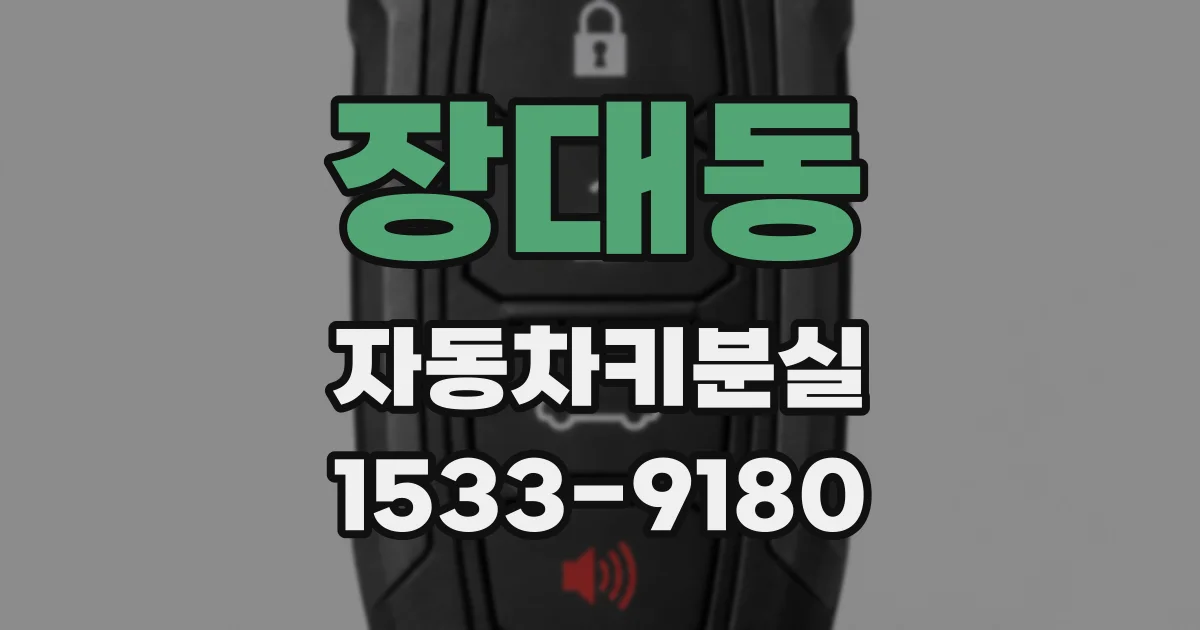장대동 자동차키분실