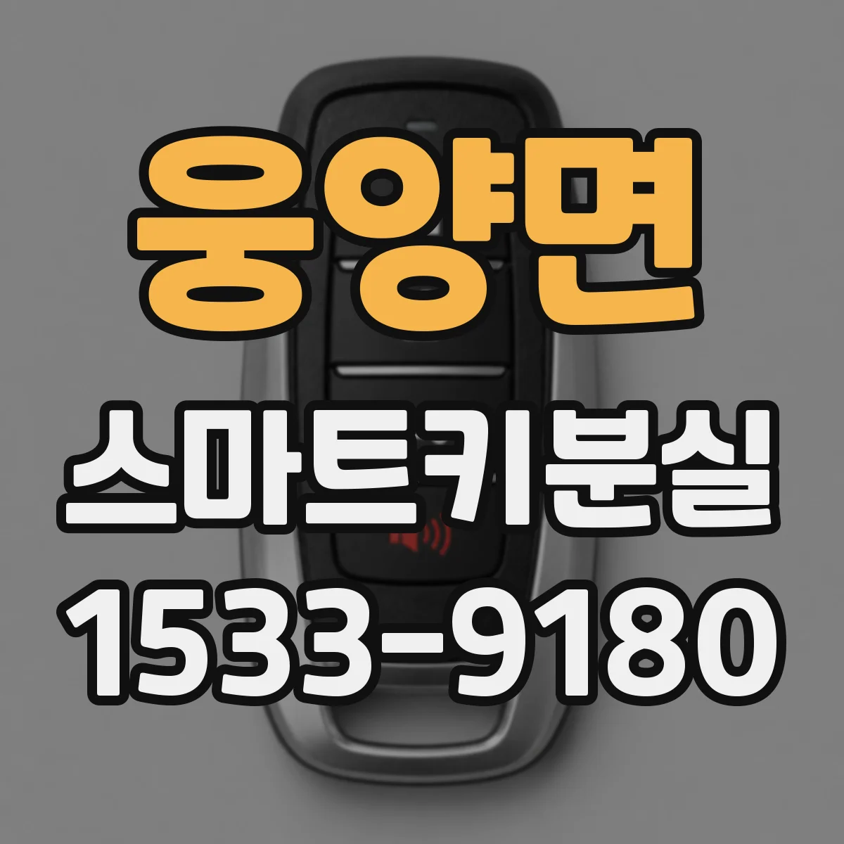 웅양면 스마트키분실