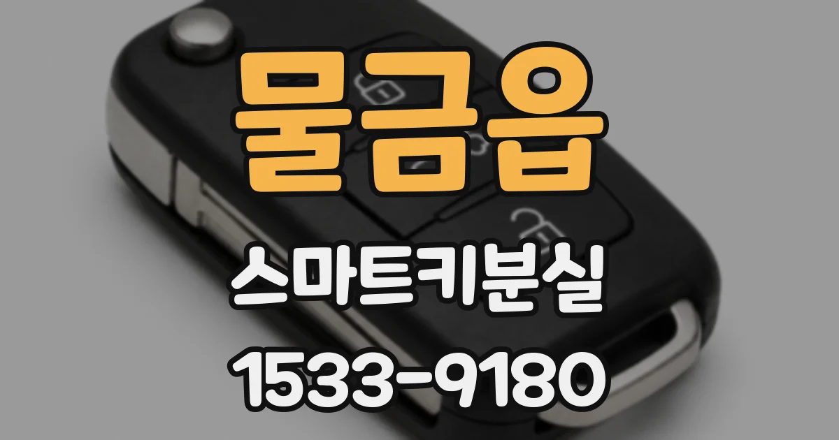 물금읍 스마트키분실