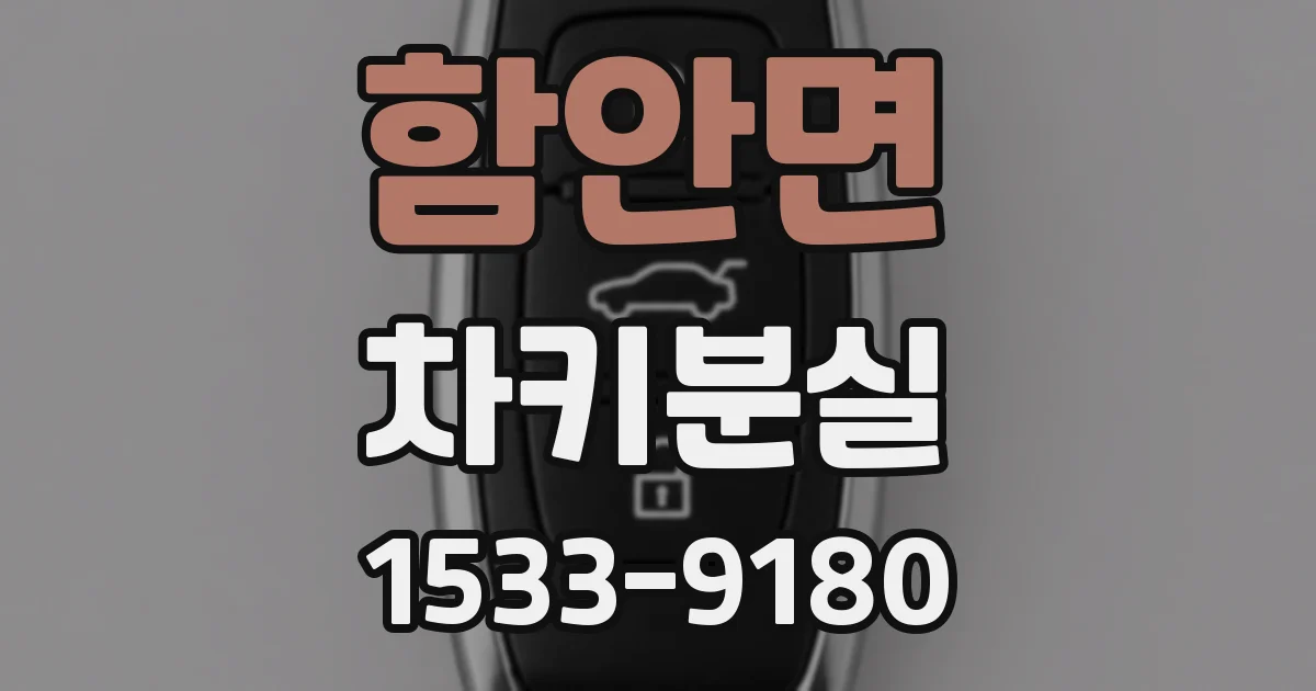 함안면 차키분실