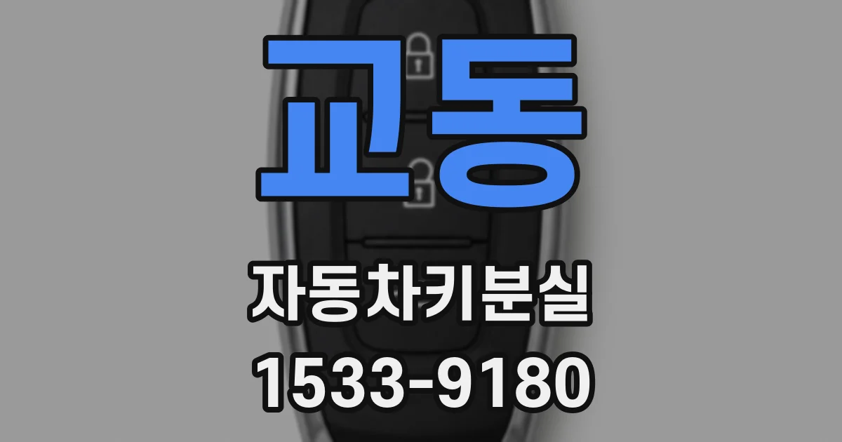 교동 자동차키분실