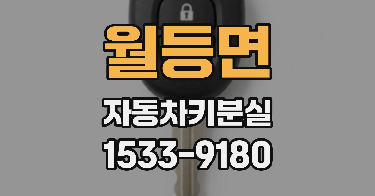 월등면 자동차키분실