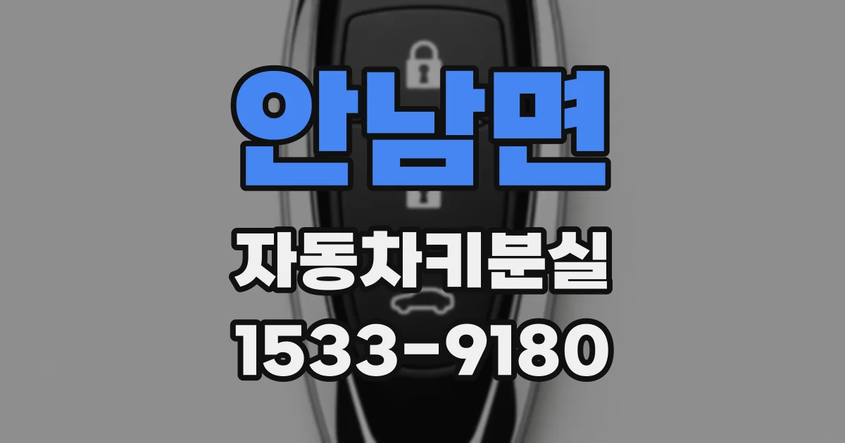 안남면 자동차키분실