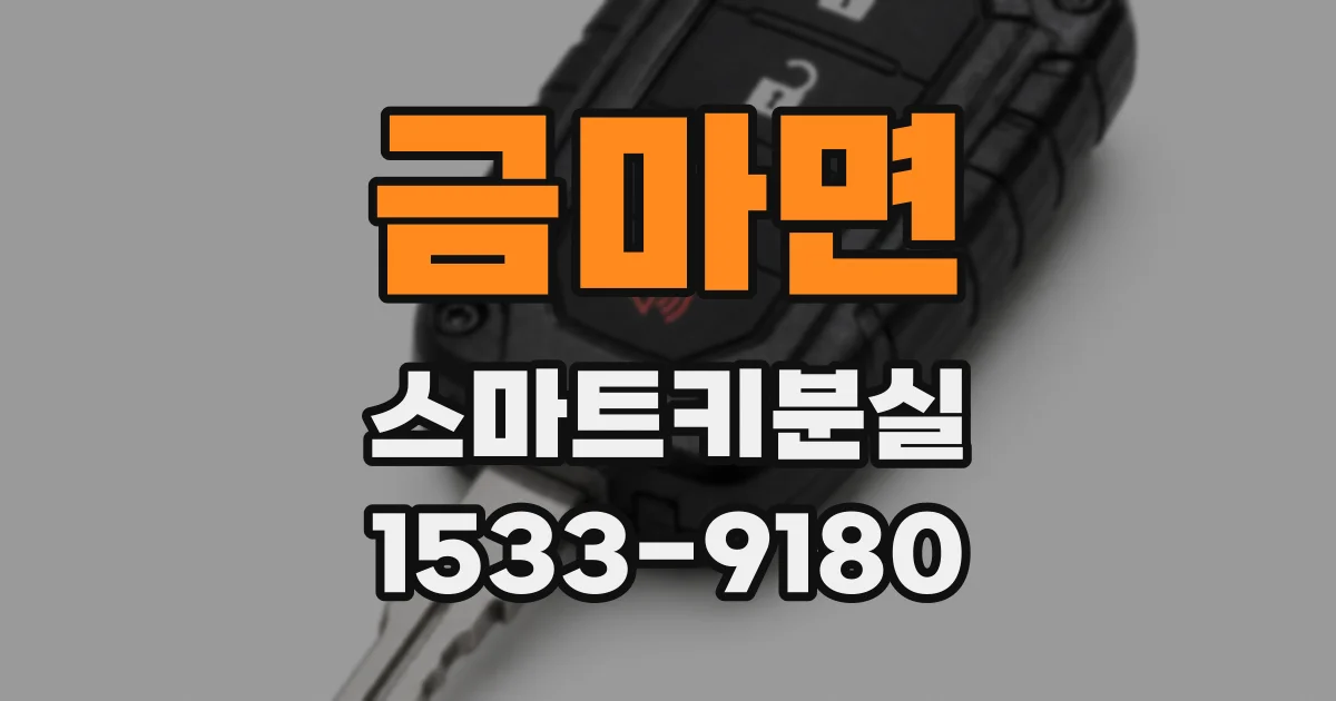 금마면 스마트키분실