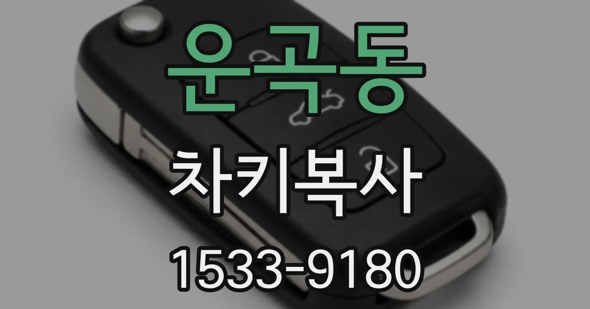 운곡동 차키복사