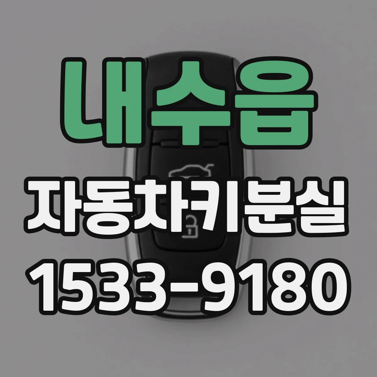 내수읍 자동차키분실