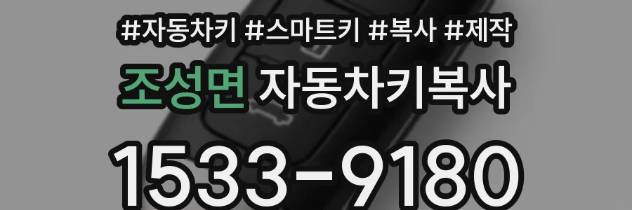 조성면 자동차키복사