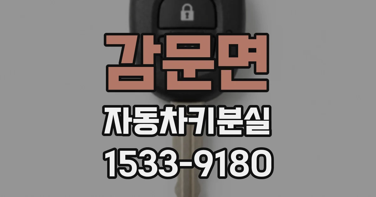 감문면 자동차키분실