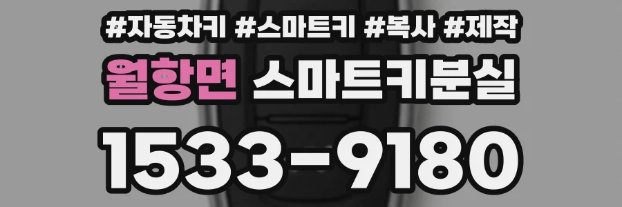 월항면 스마트키분실