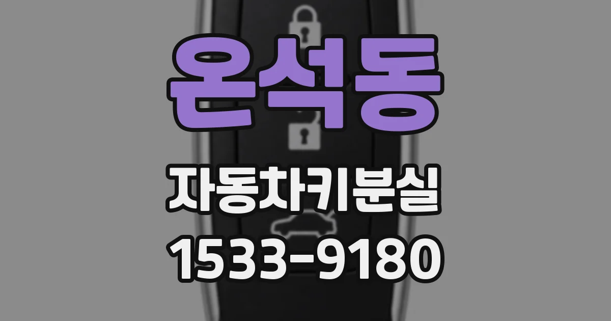온석동 자동차키분실