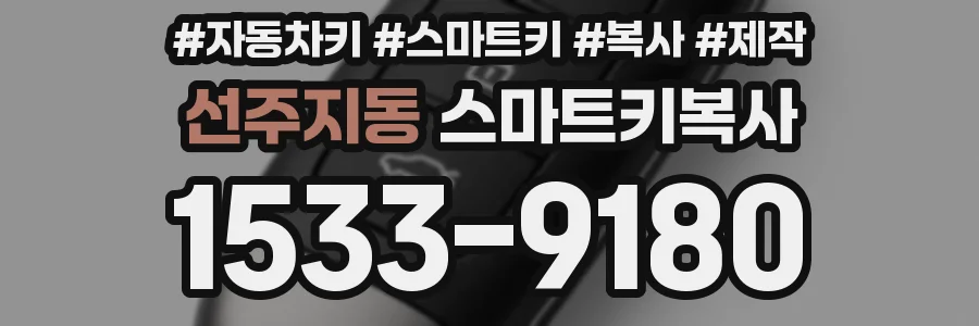 선주지동 스마트키복사