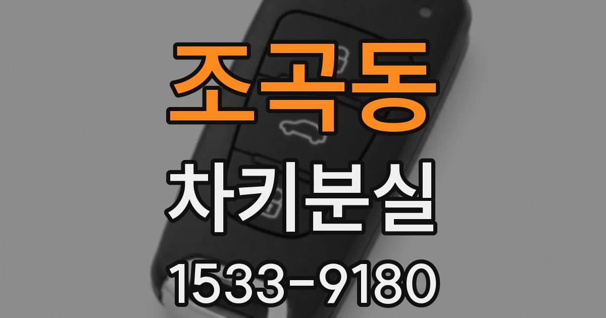 조곡동 차키분실