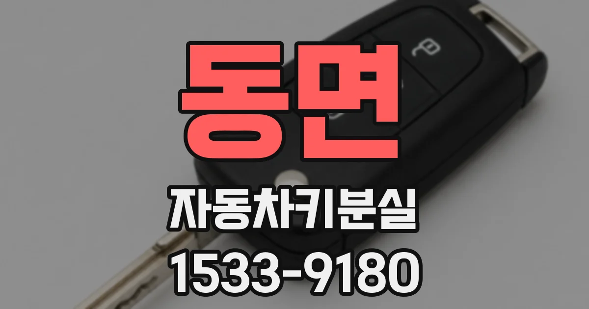 동면 자동차키분실