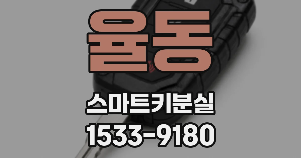 율동 스마트키분실