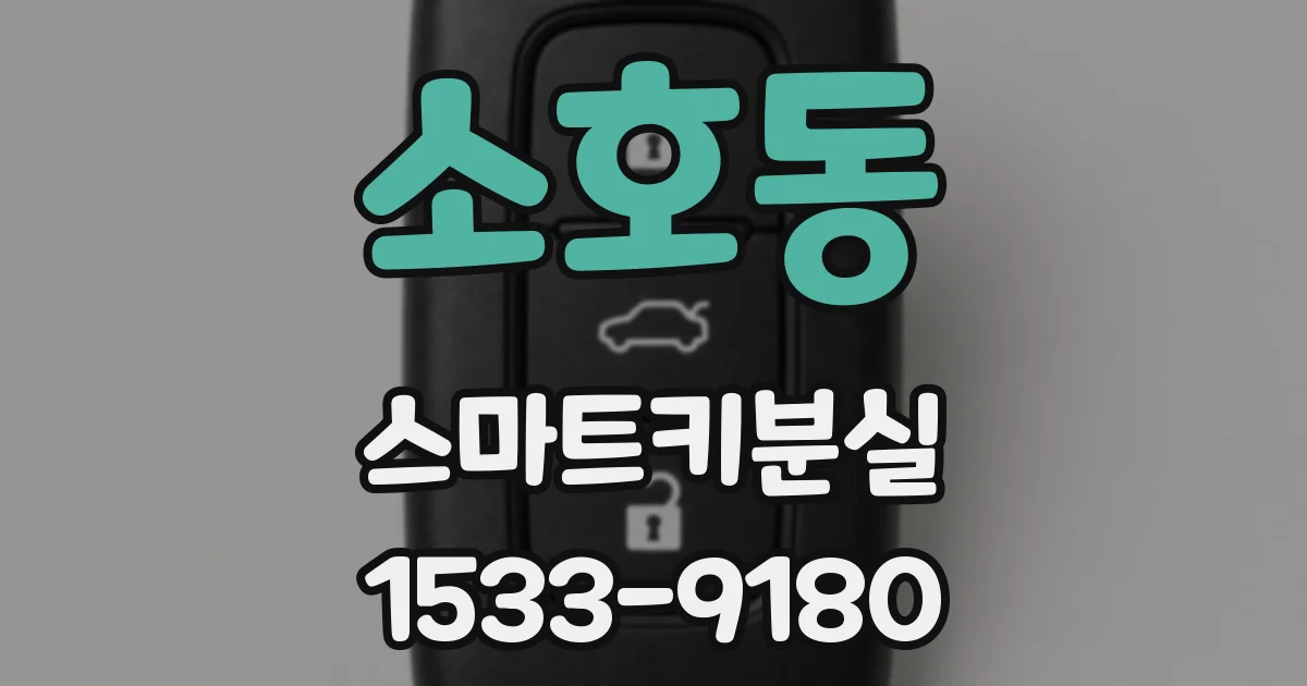 소호동 스마트키분실