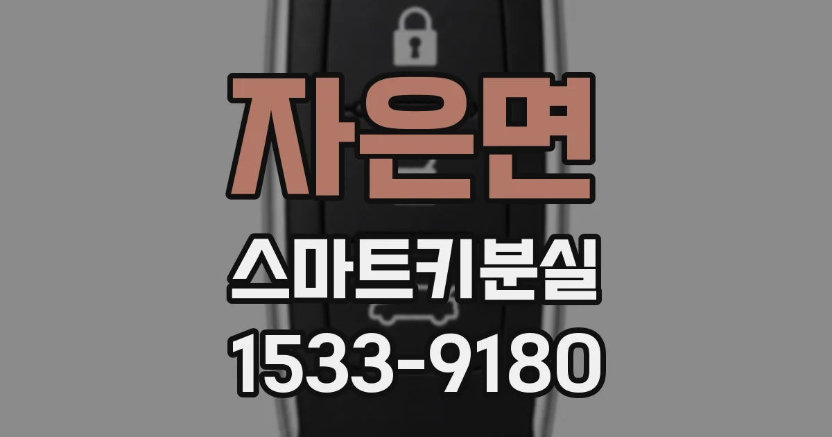 자은면 스마트키분실