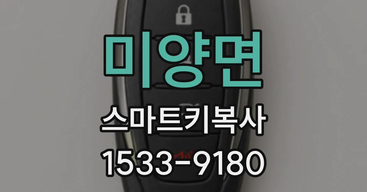 미양면 스마트키복사