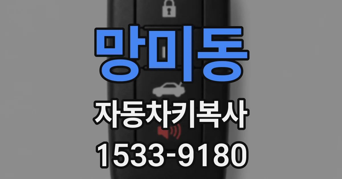 망미동 자동차키복사