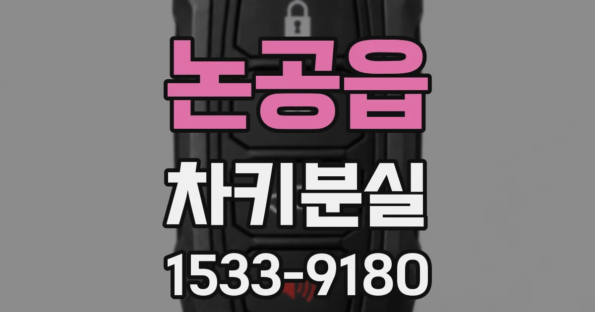 논공읍 차키분실