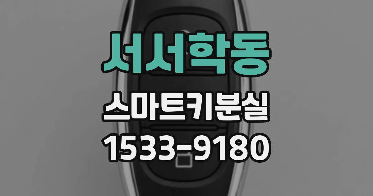 서서학동 스마트키분실