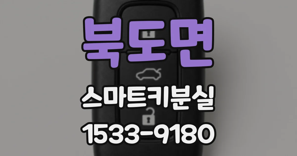 북도면 스마트키분실