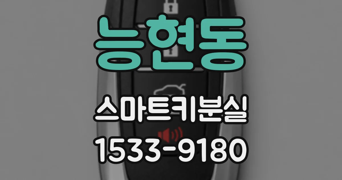 능현동 스마트키분실