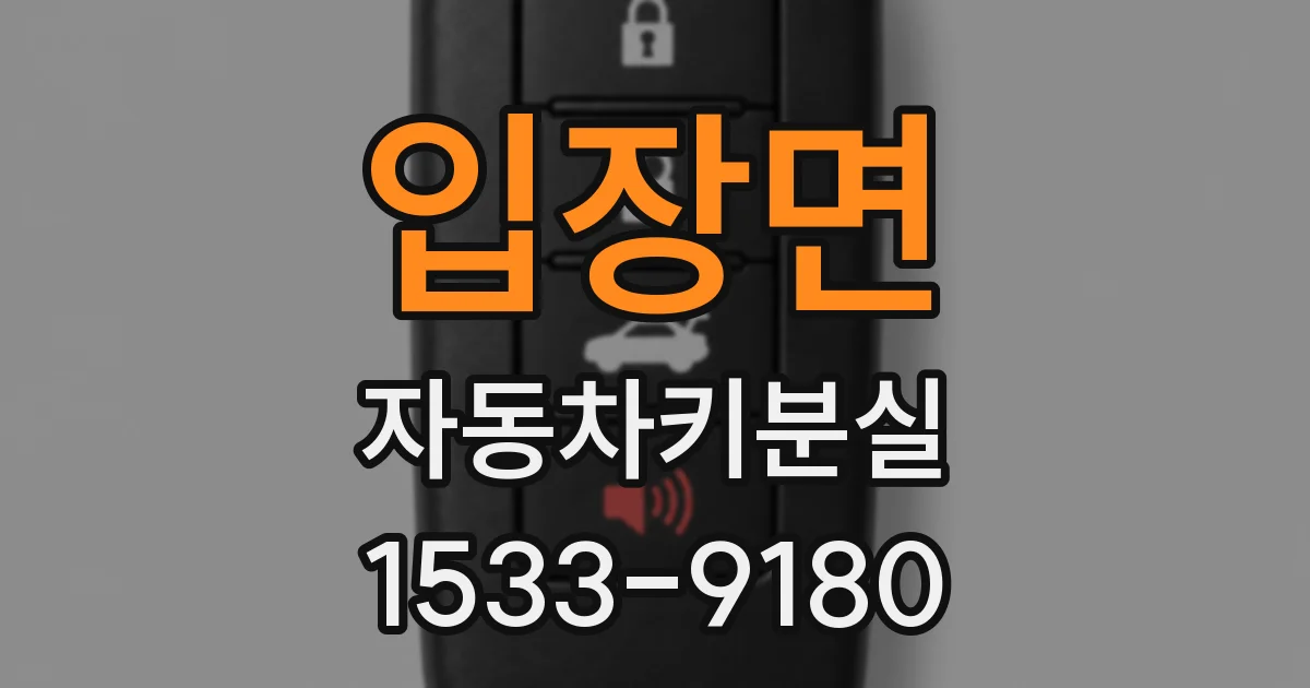 입장면 자동차키분실