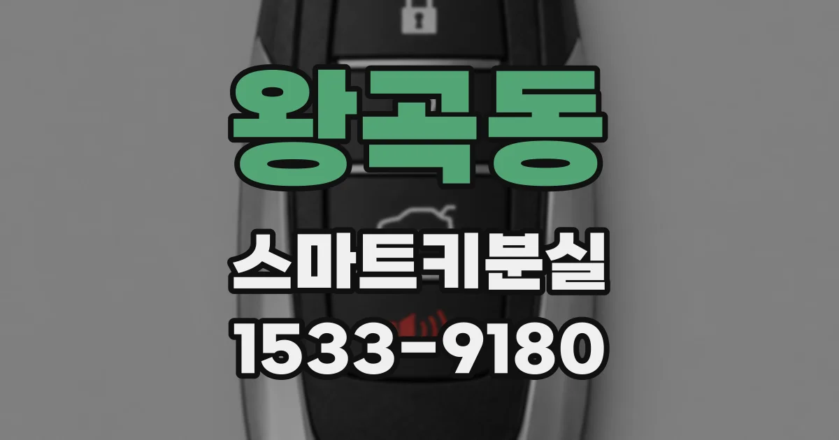 왕곡동 스마트키분실