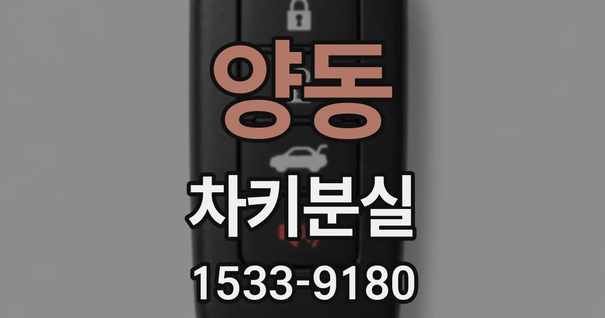 양동 차키분실