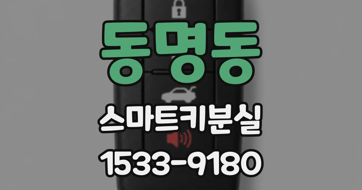 동명동 스마트키분실