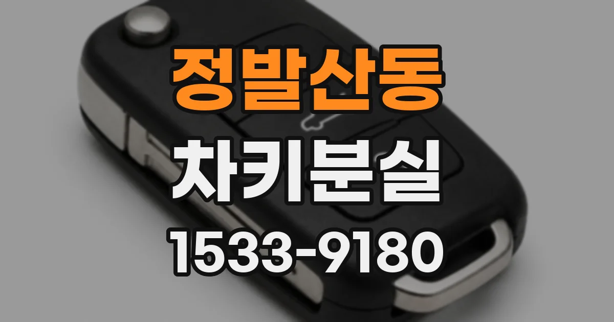 정발산동 차키분실