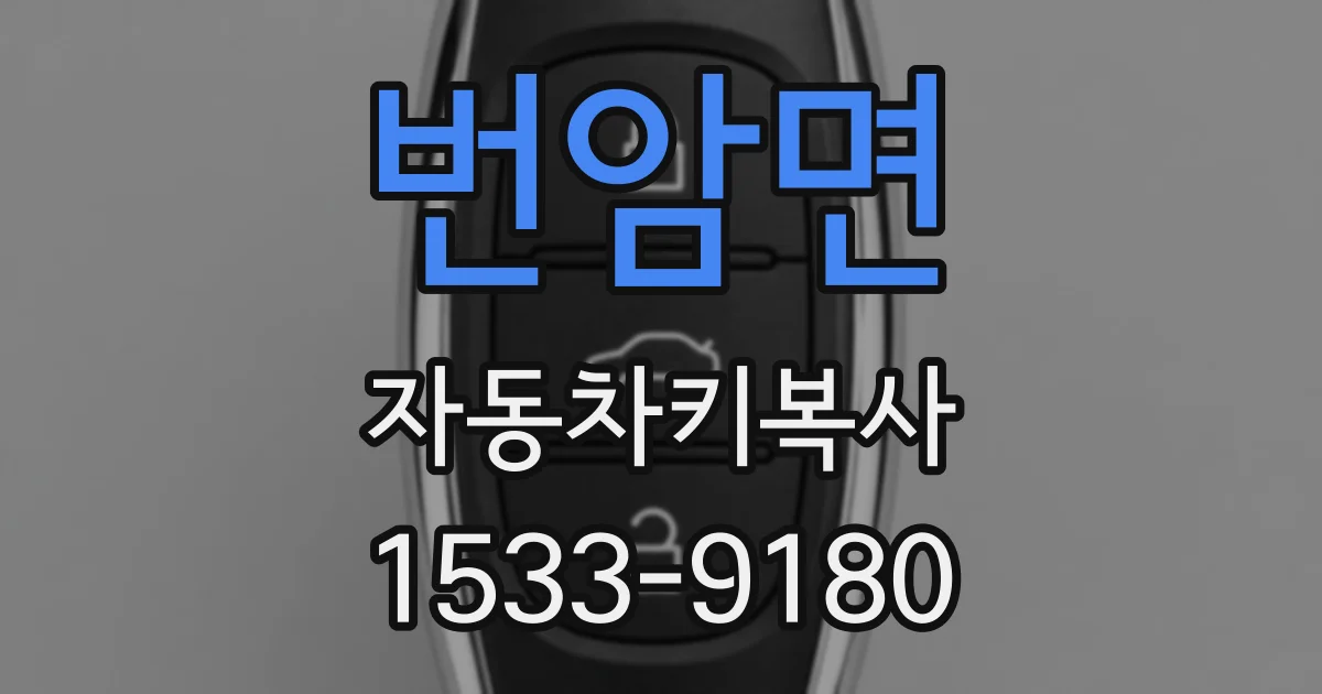 번암면 자동차키복사