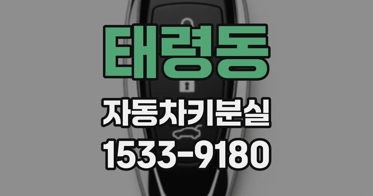 태령동 자동차키분실
