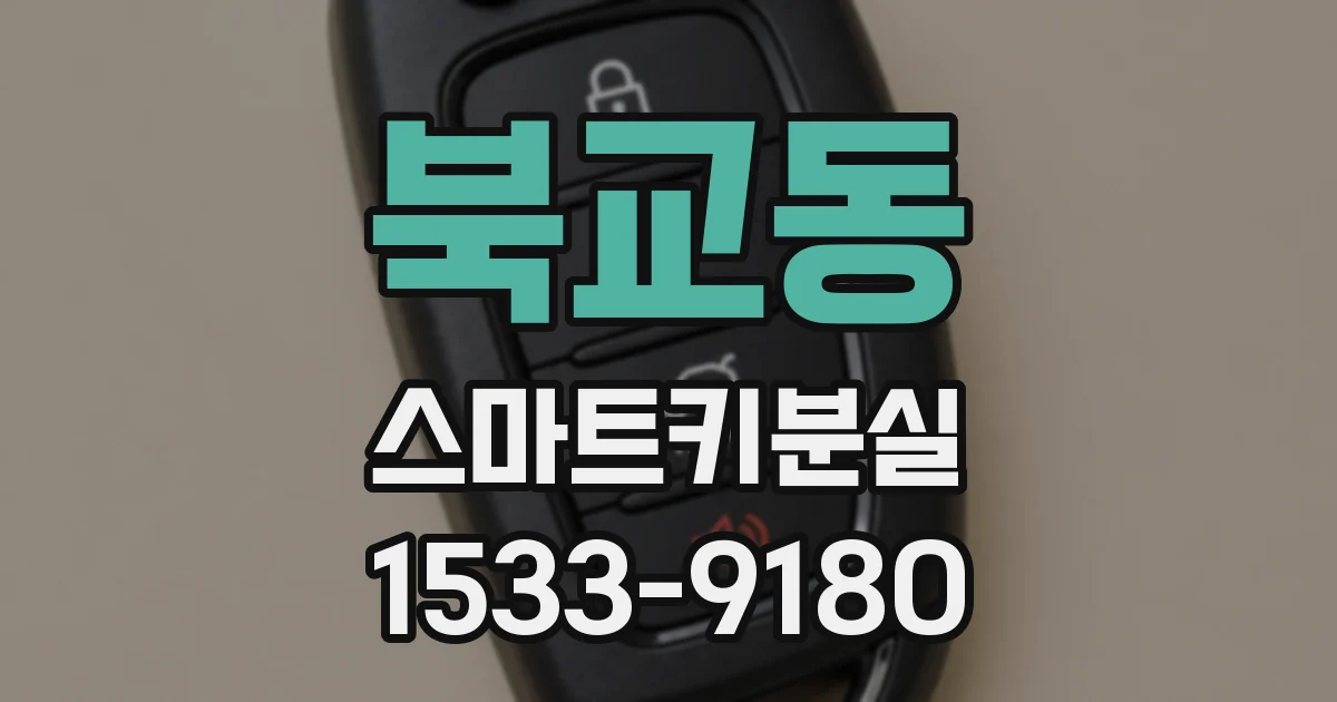 북교동 스마트키분실