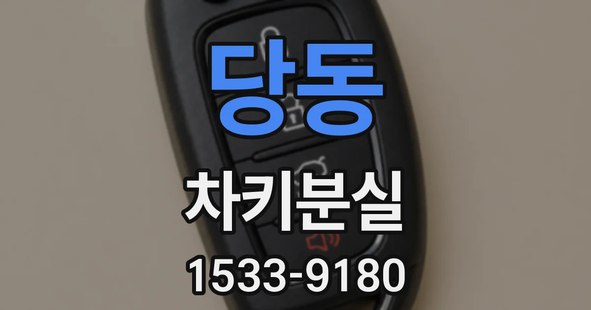 당동 차키분실