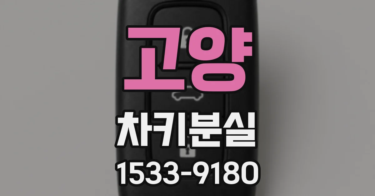 고양 차키분실