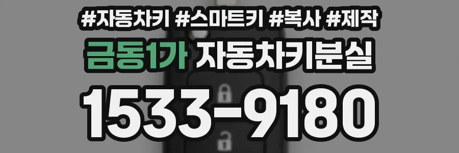 금동1가 자동차키분실