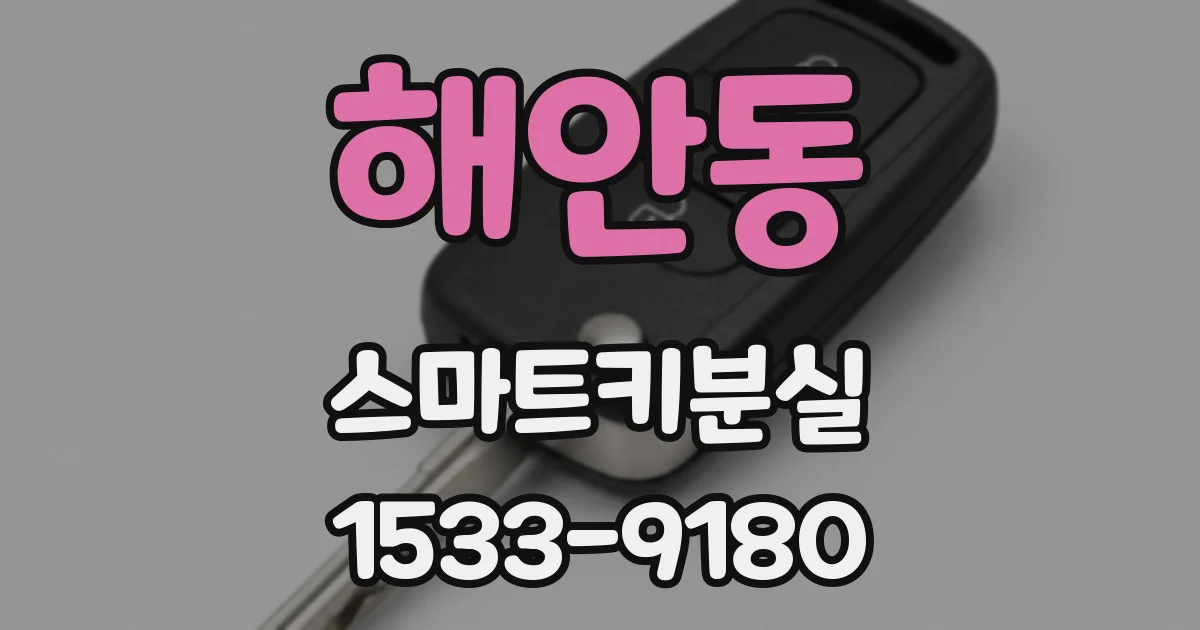 해안동 스마트키분실