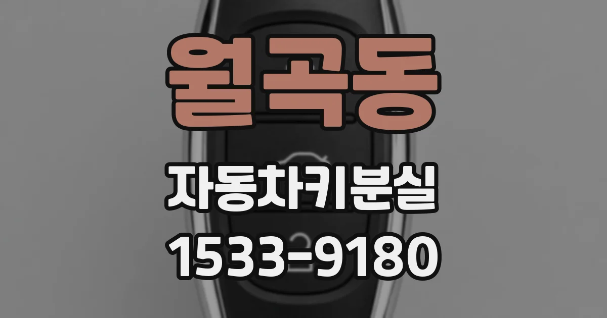 월곡동 자동차키분실