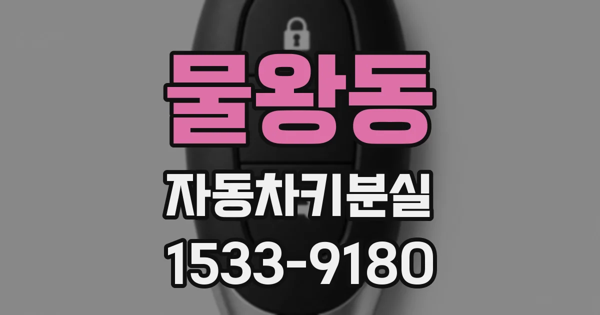 물왕동 자동차키분실