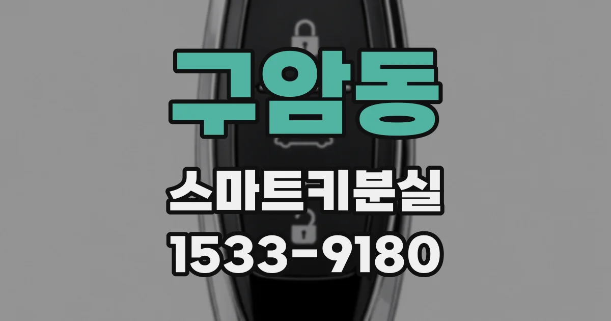 구암동 스마트키분실