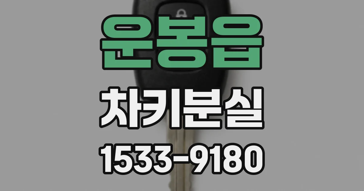 운봉읍 차키분실