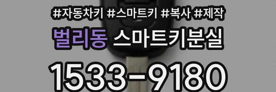 벌리동 스마트키분실
