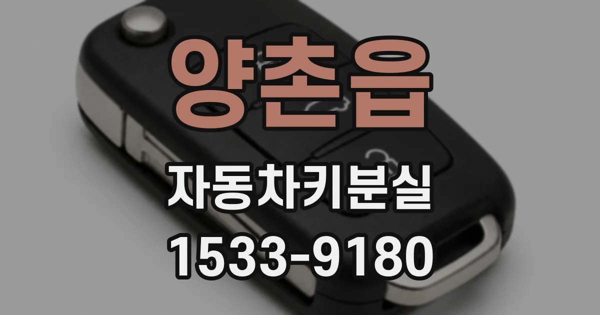 양촌읍 자동차키분실