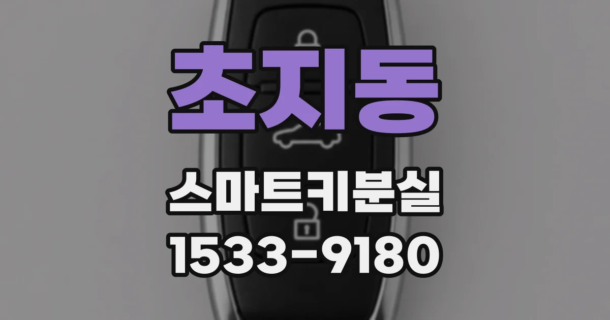 초지동 스마트키분실